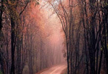 虎扑上的NBA历史得分榜都有哪些看点和细节？